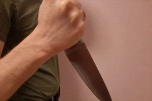 🚔В Пристенском районе курянин ранил ножом сожительницу и дочь