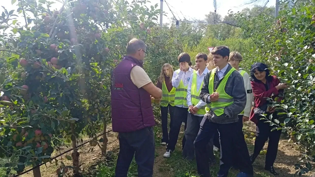 🍎 Экскурсия в будущее: как технологии меняют сельское хозяйство