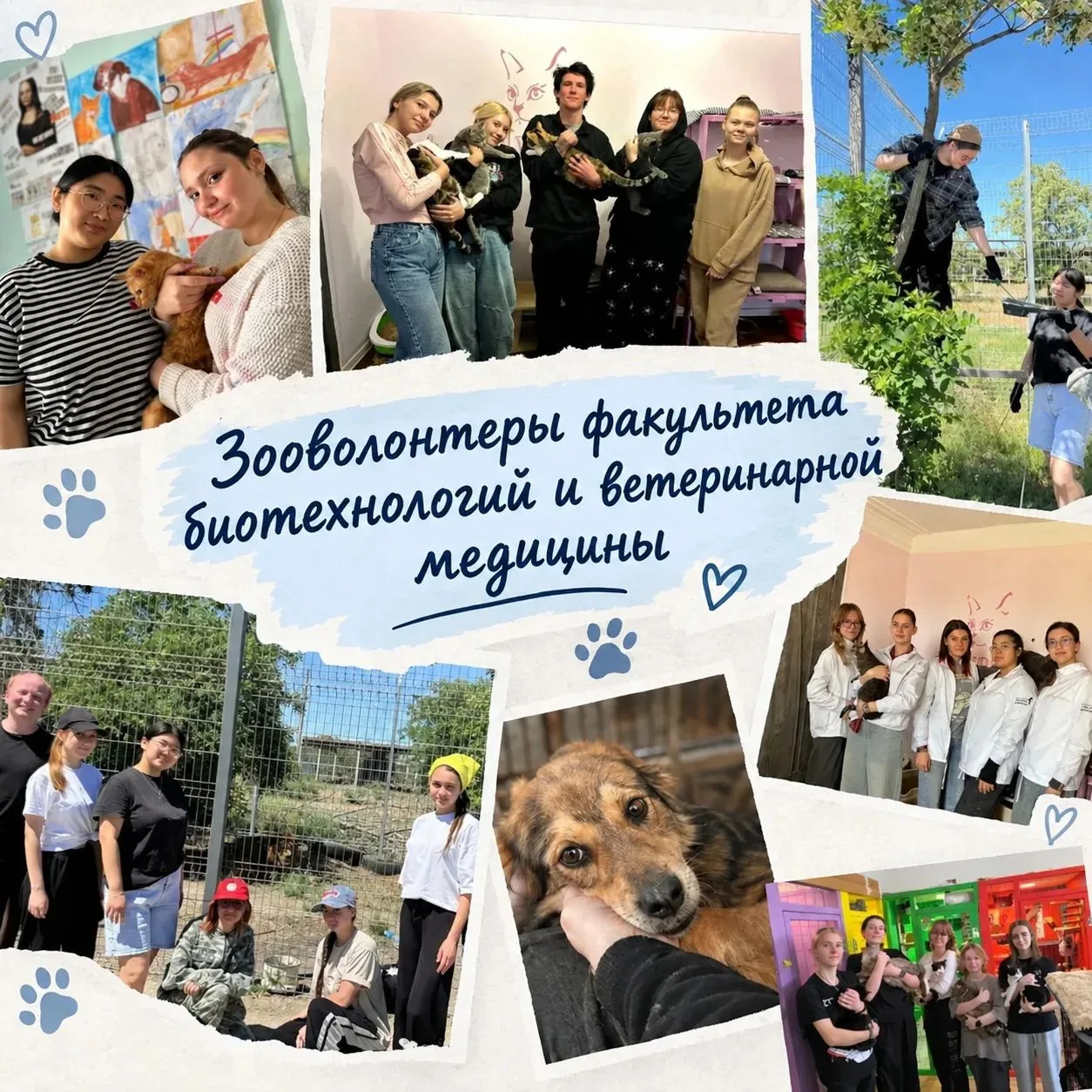 🐾Не дело, а образ жизни