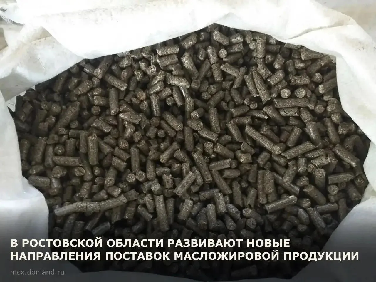 Правительство Ростовской области совместно с Минсельхозом и Минтрансом России, при учас...