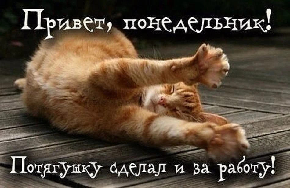 📍 Рязань