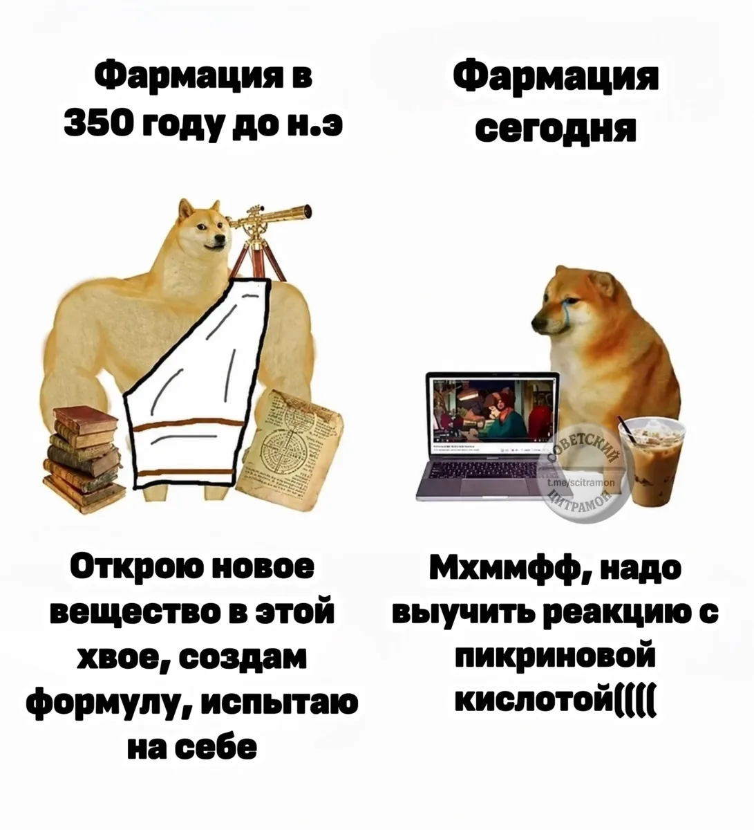 Цитрамон. Подписаться