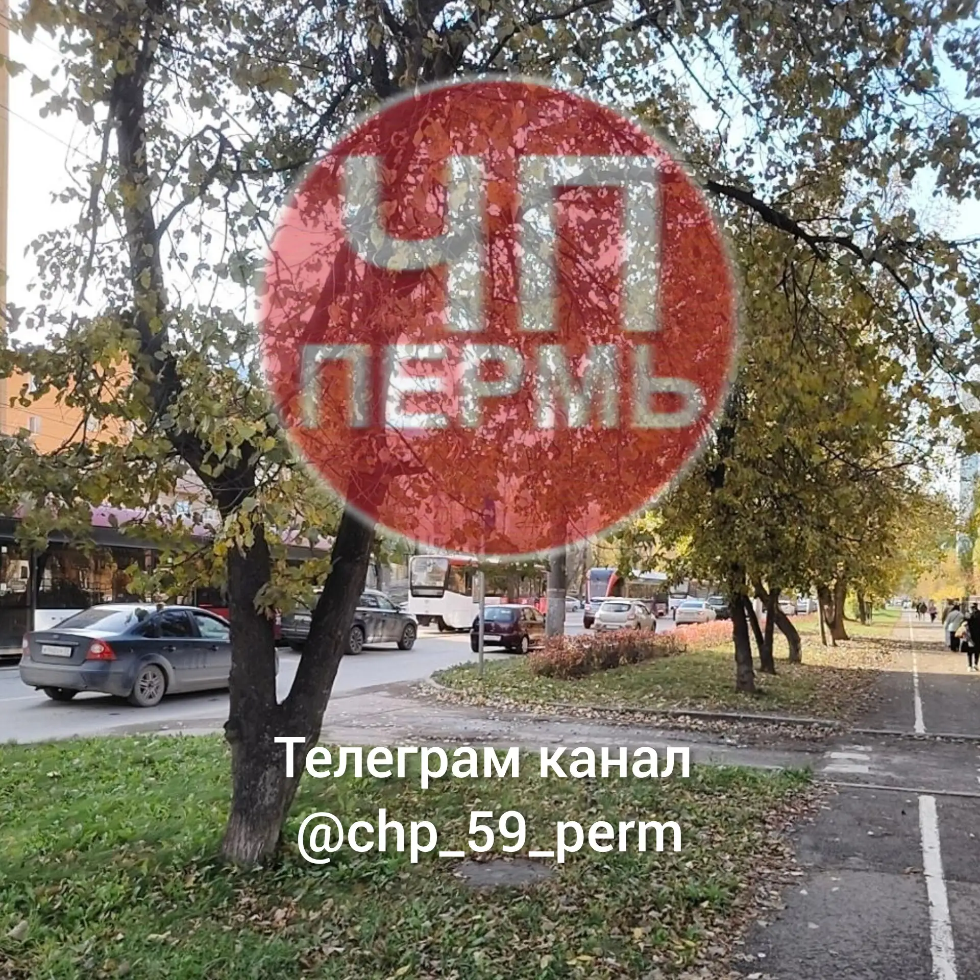 Трамваи встали на Мира