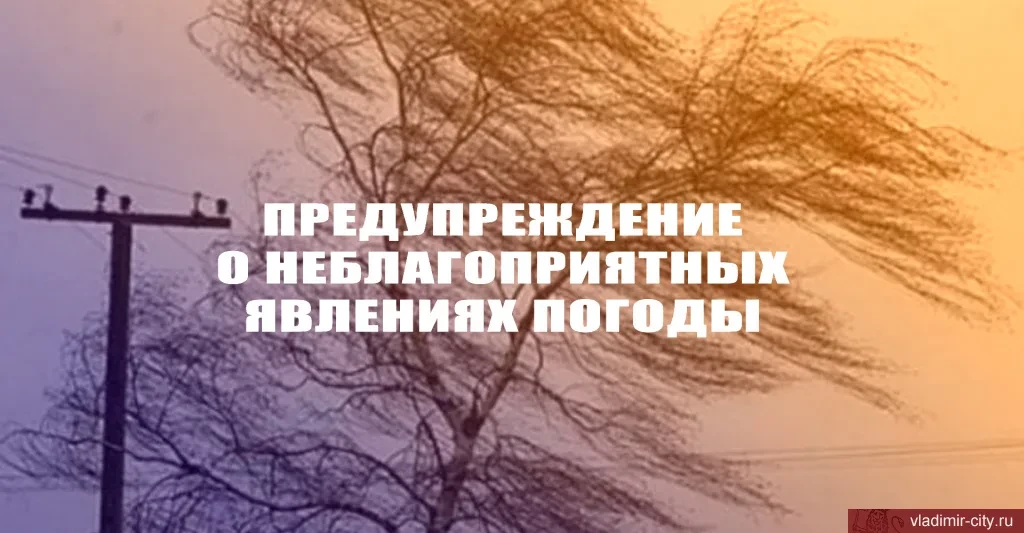8 октября утром и днем местами по области ожидаются порывы сильного северо-западного ве...