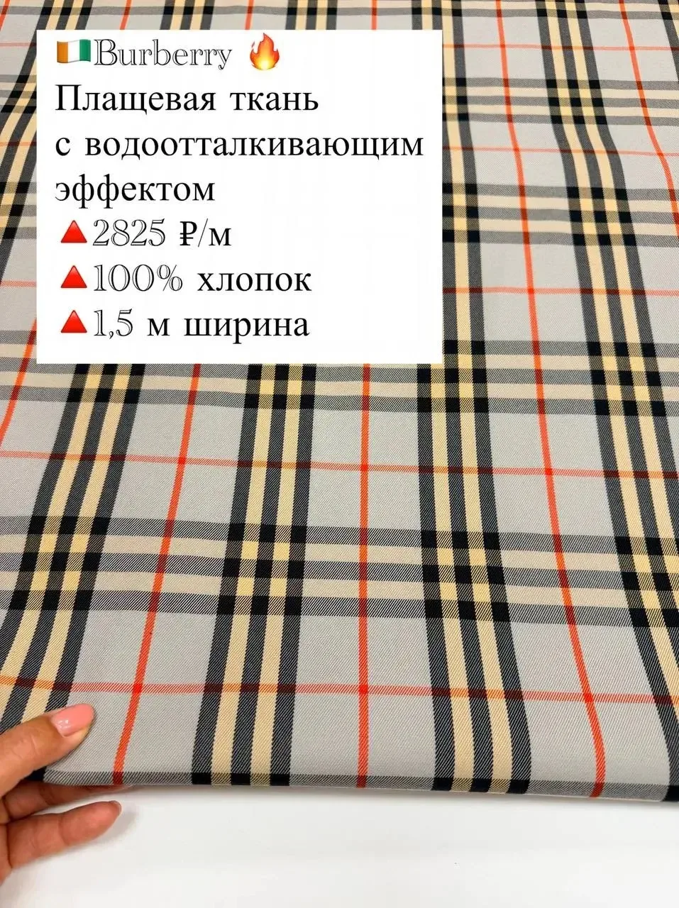 🇨🇮Burberry 🔥
