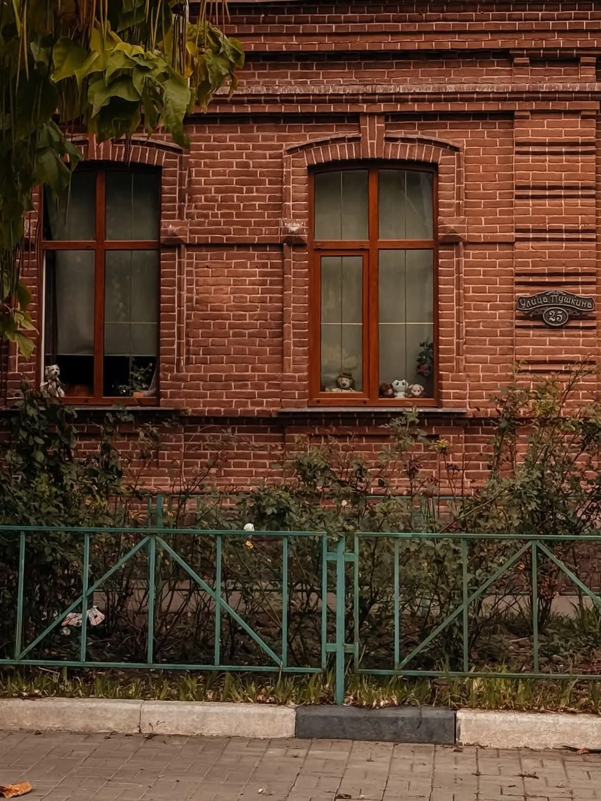🍁 Осенний Краснодар