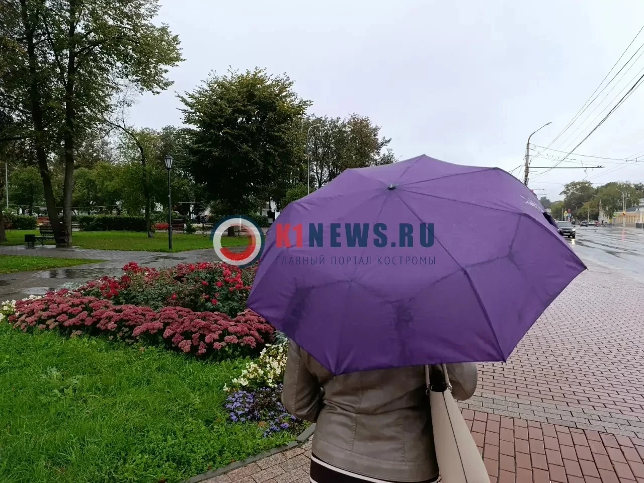 ☔ Костромичей предупредили о кошмарных ливнях