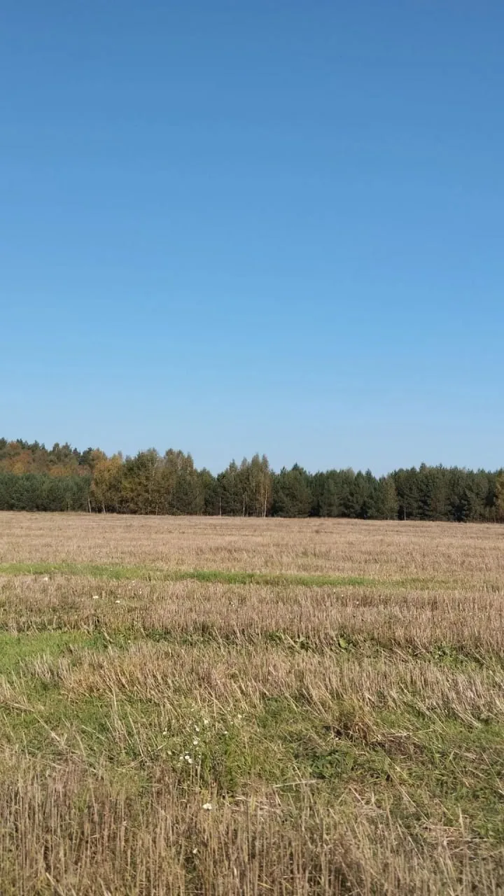 🌟Доброй ночи, друзья!