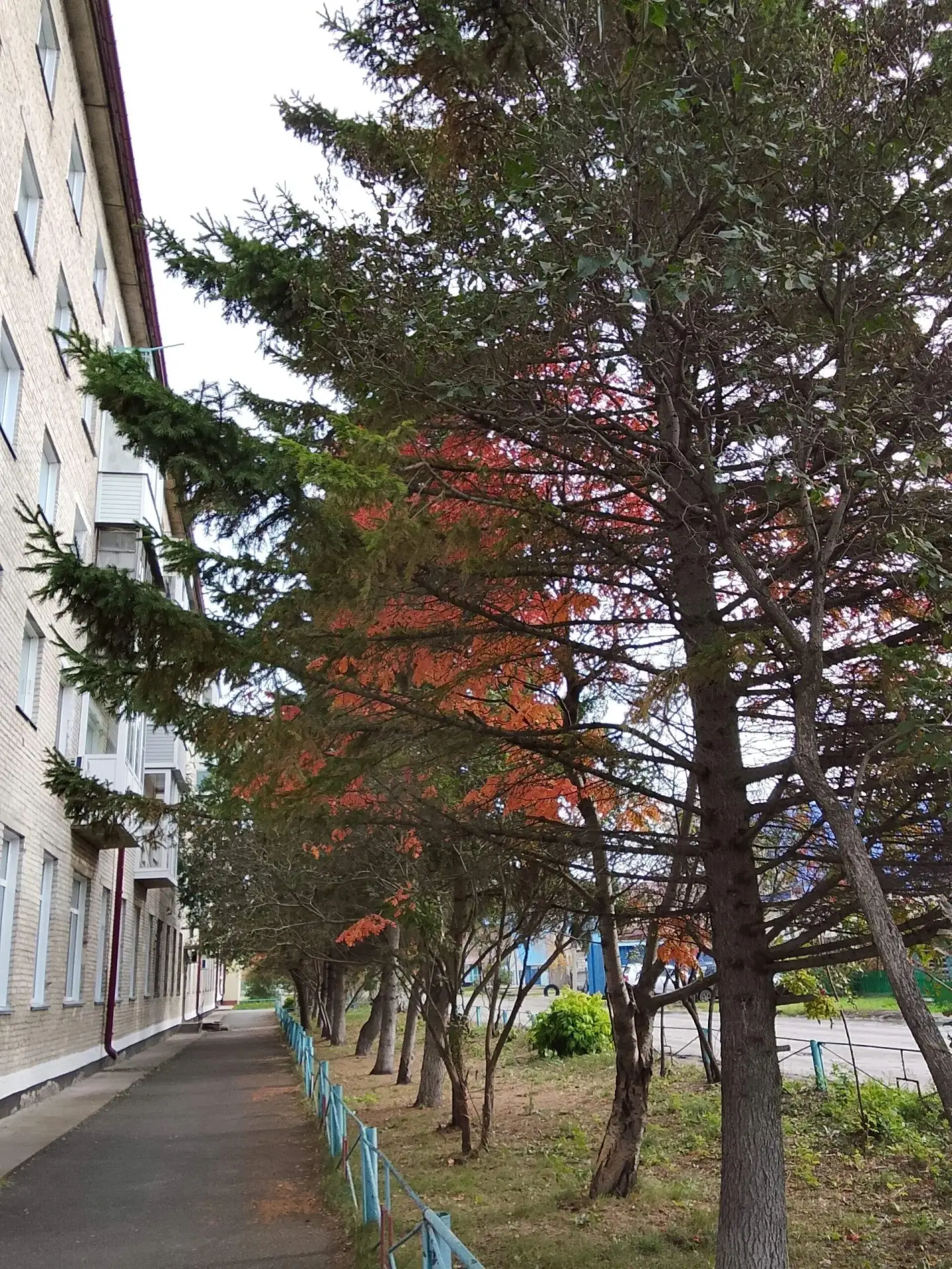 Доброе утро☕