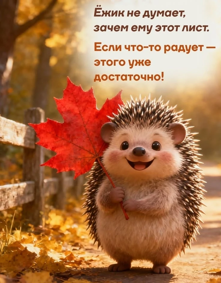 Добрые открытки каждое утро!