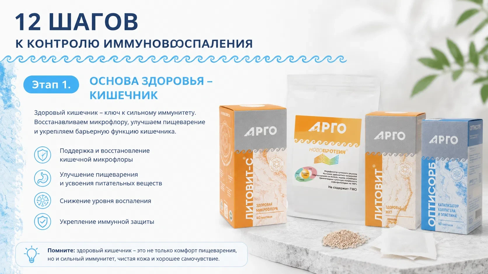 12 ШАГОВ К КОНТРОЛЮ ИММУНОВОСПАЛЕНИЯ. Часть 1.