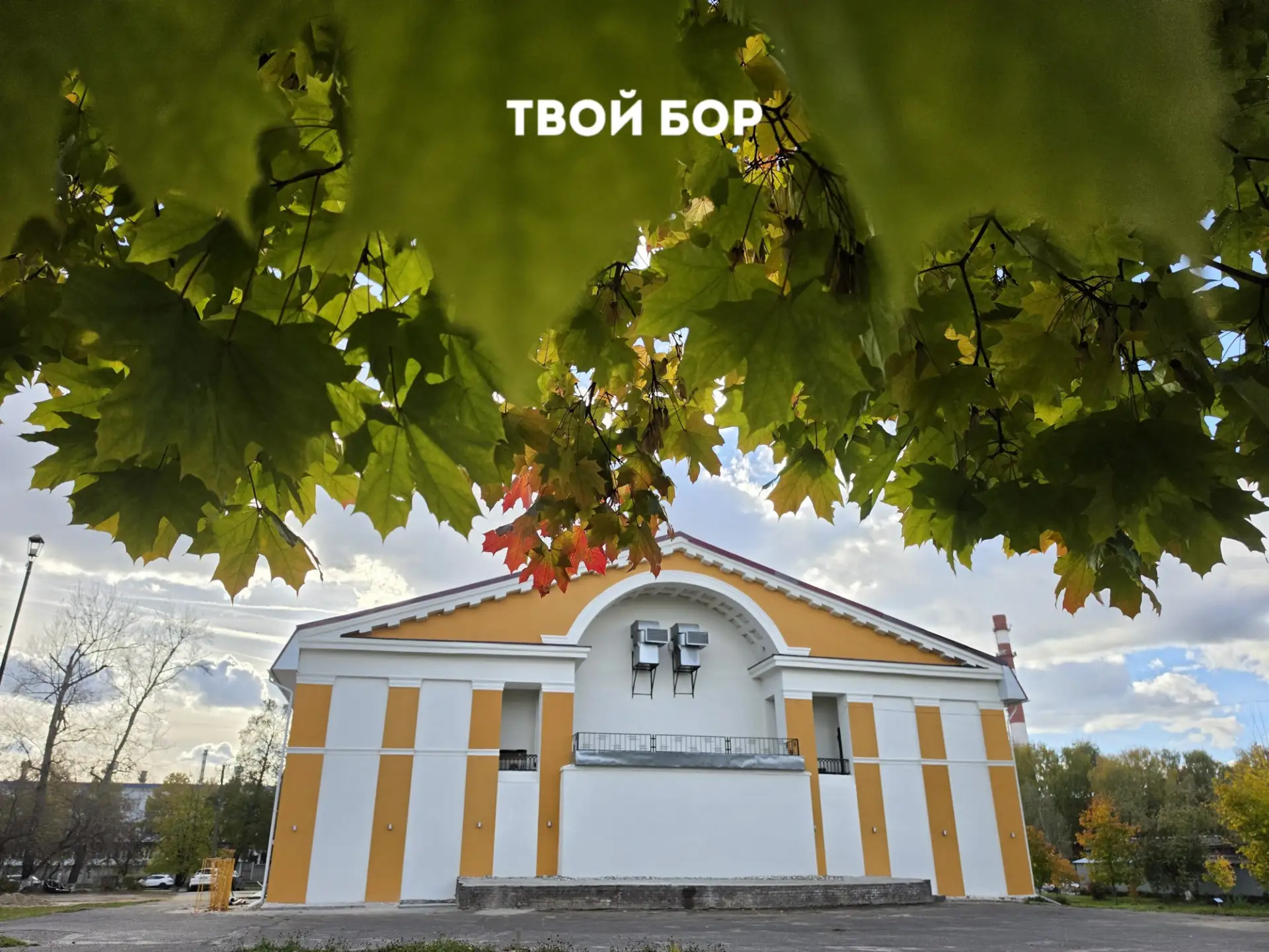 Борчан приглашают на праздник "Папа года".