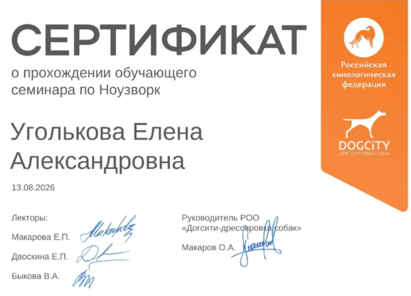Сертификат о прохождении обучающего семинара РКФ по НОУЗВОРК ✨
