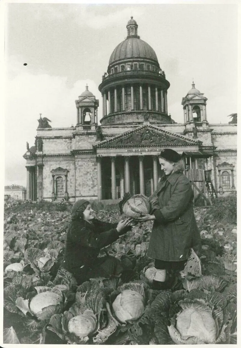 Это редкое фото о торжестве жизни. О надежде на будущее. Посмотрите: 1942 год, центр Пе...