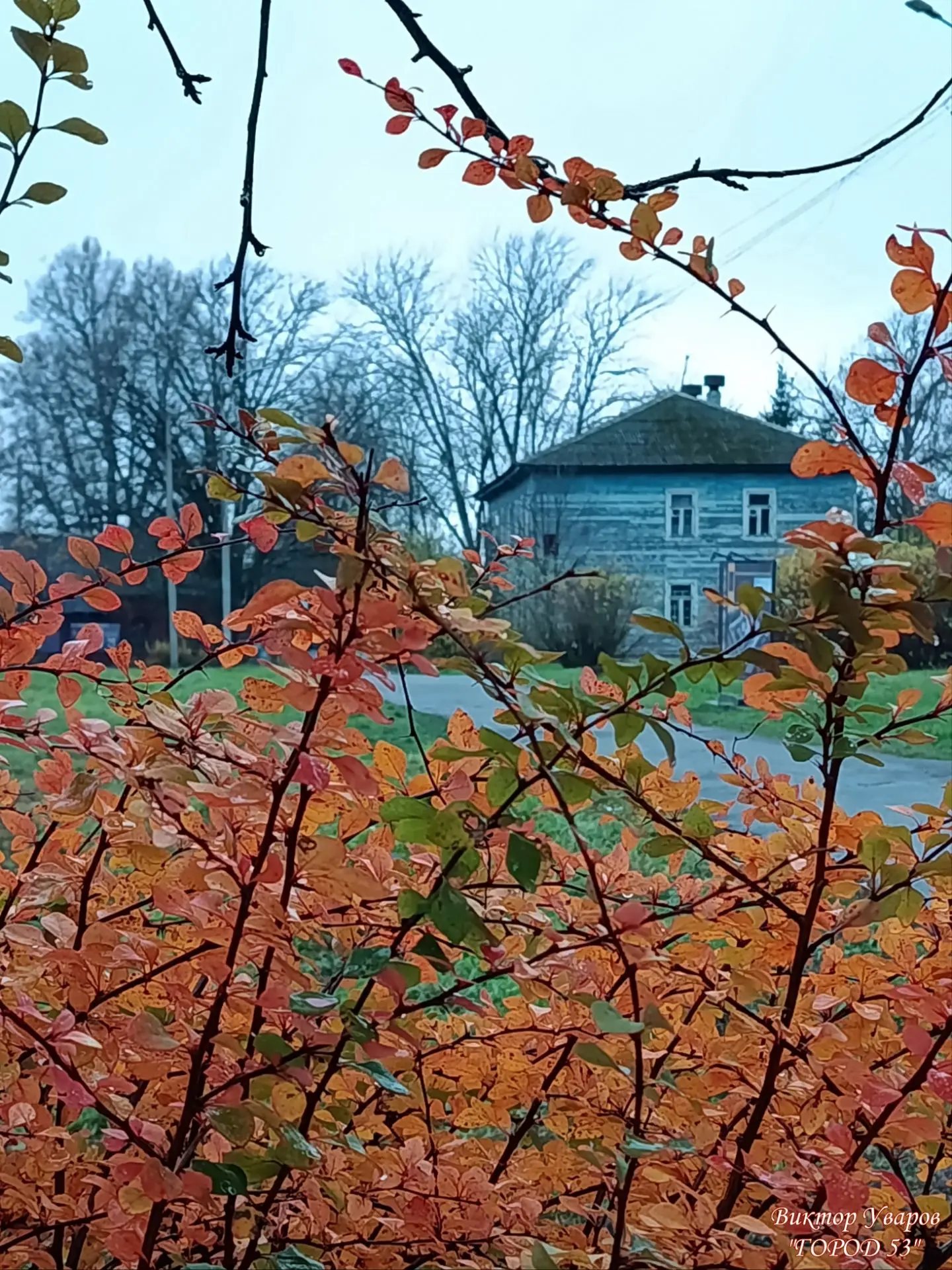 Поздняя осень в Десятинке 🍂