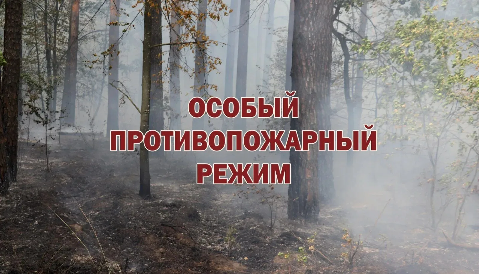 🔥 Особый противопожарный режим в ЕАО: будьте предельно внимательны! 🔥