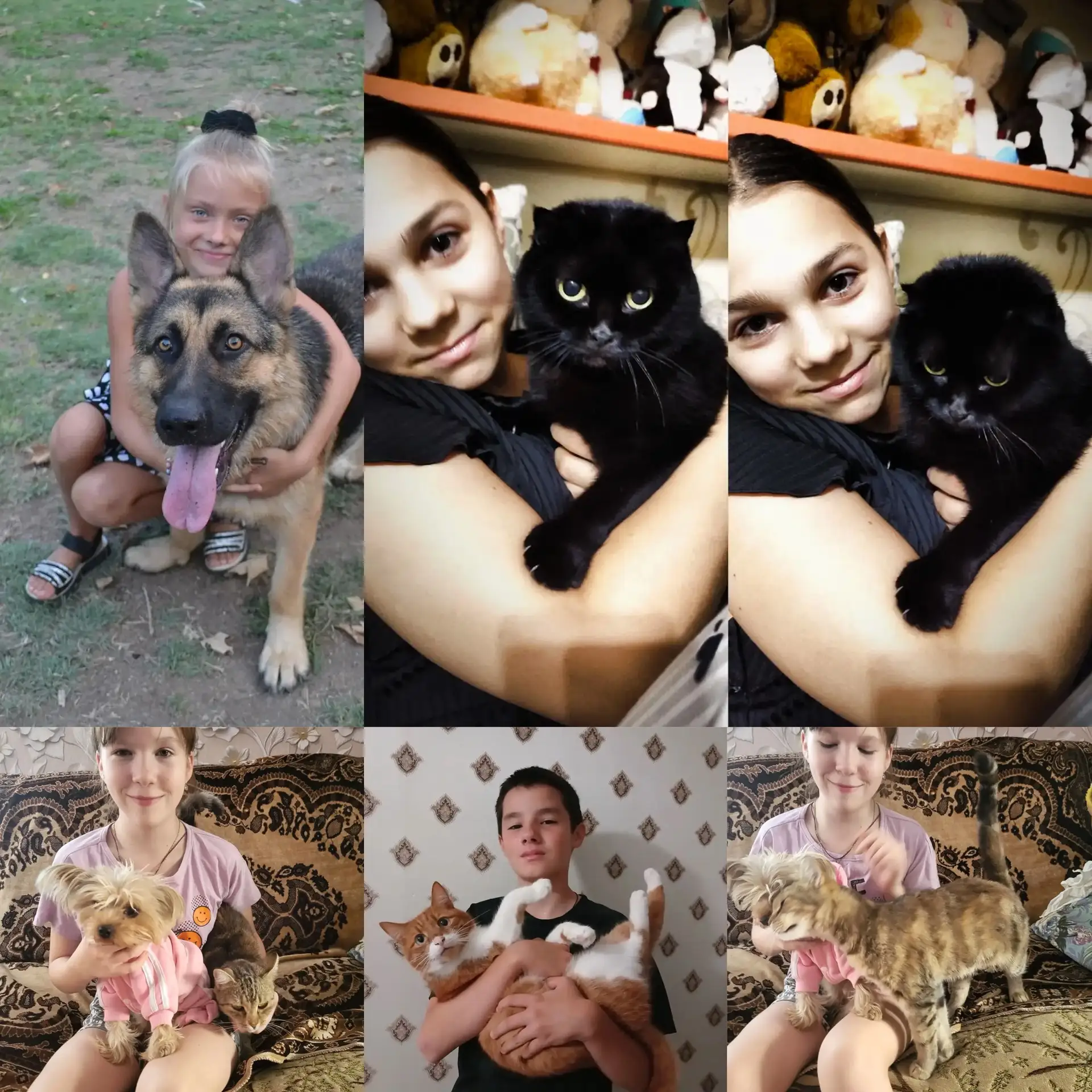 🐈🫶🐶4 октября отмечается Всемирный день защиты животных.