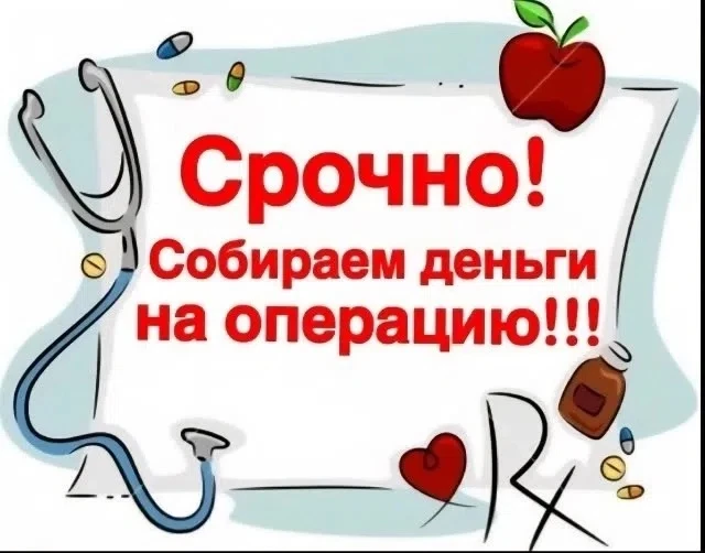 ‼️СРОЧНЫЙ СБОР‼️