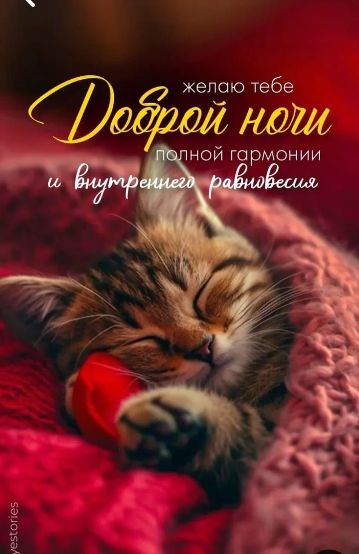 Доброй ночи!..