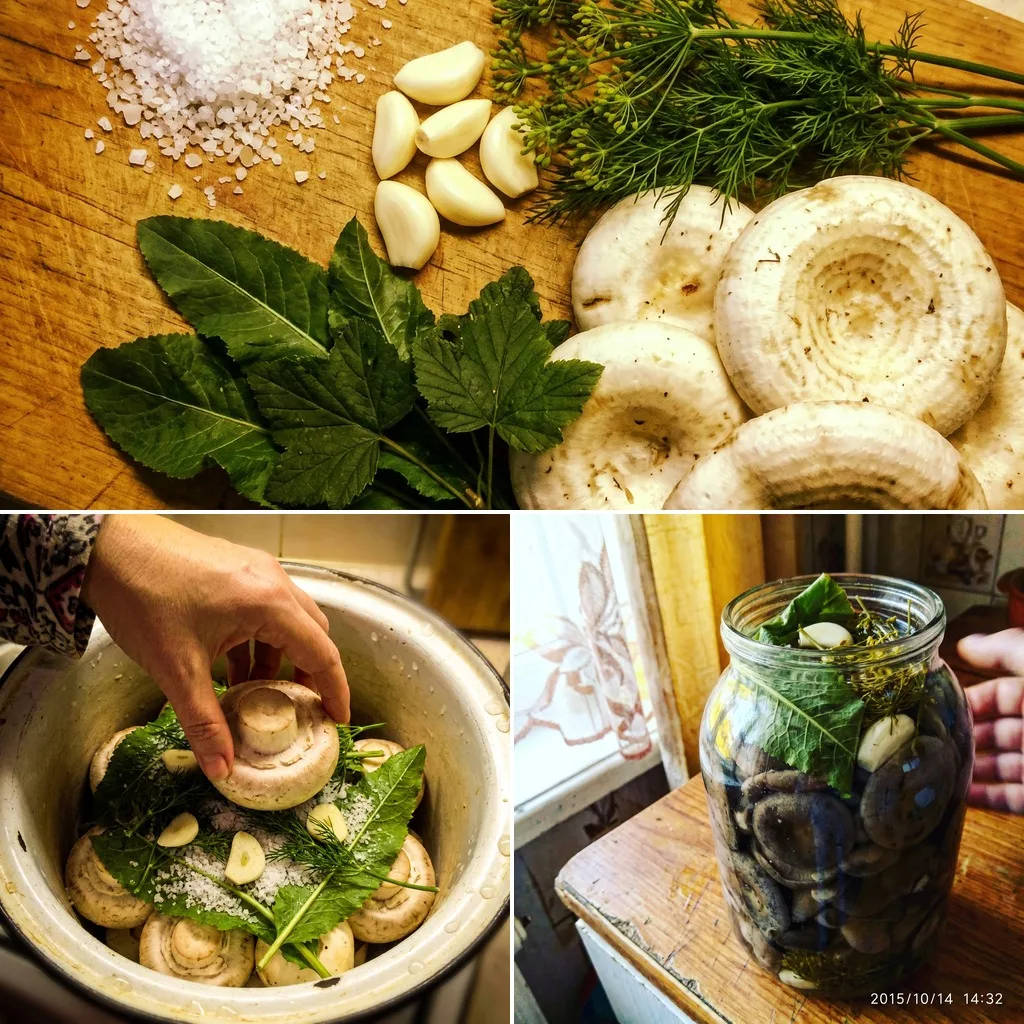 🍄 ГРУЗДИ СОЛЁНЫЕ ХОЛОДНЫМ СПОСОБОМ