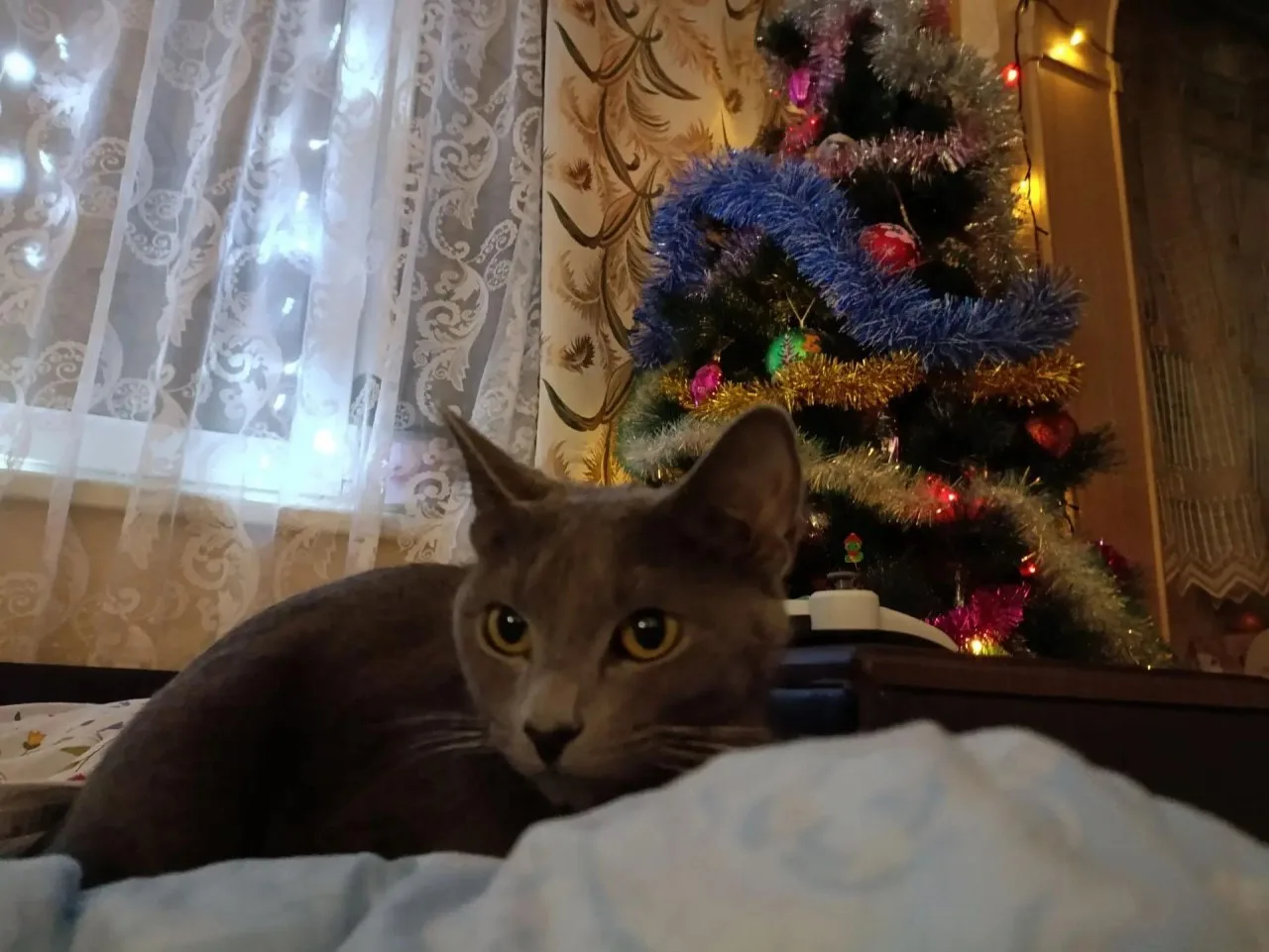 #СанктПетербург