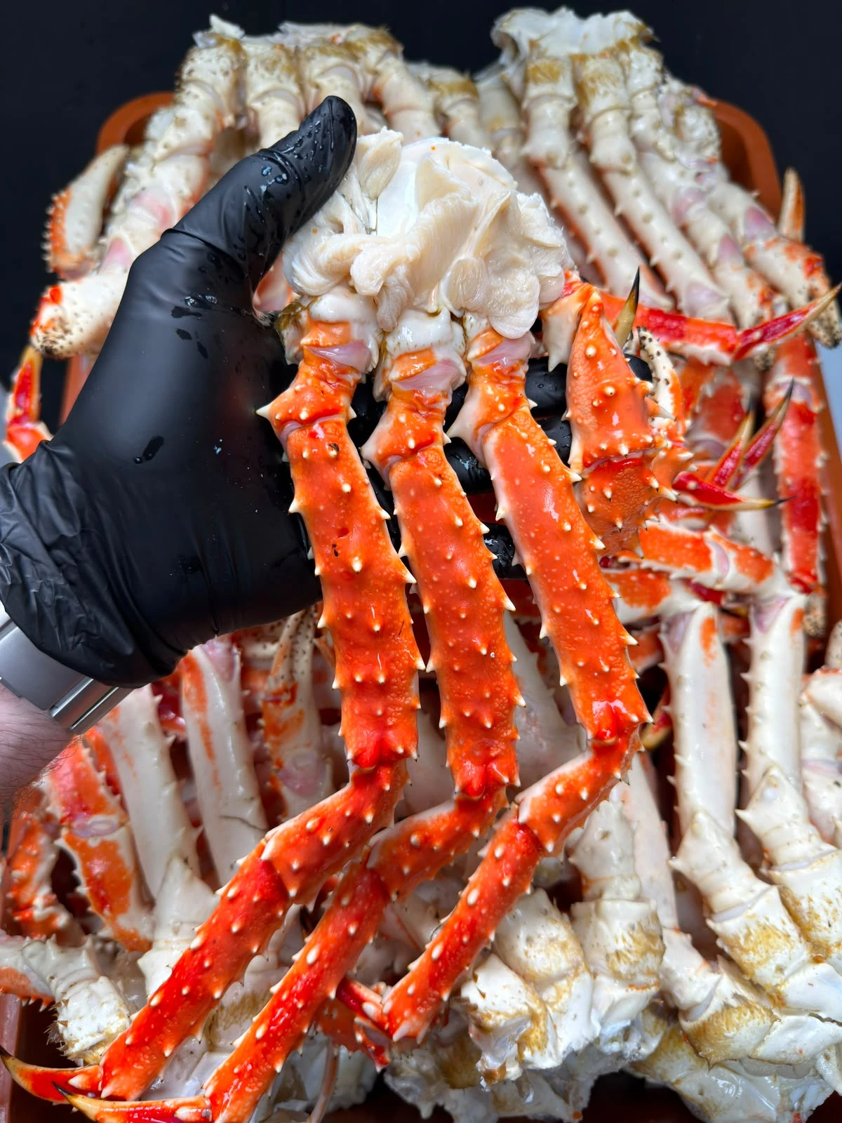 В наличии свежий приход парного Крабика: 🦀