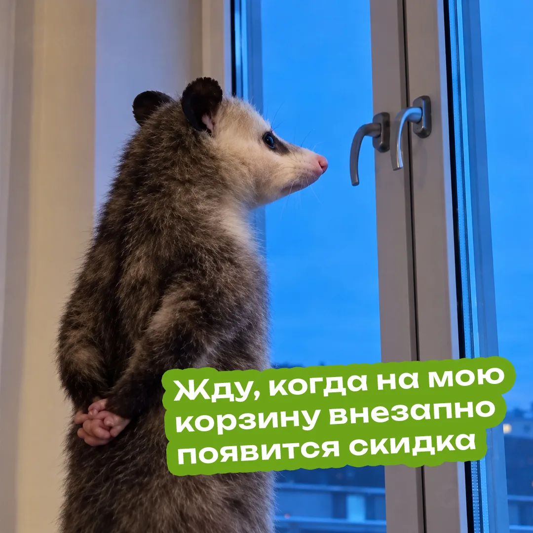 Ждать скидку тоже стратегия 😏
