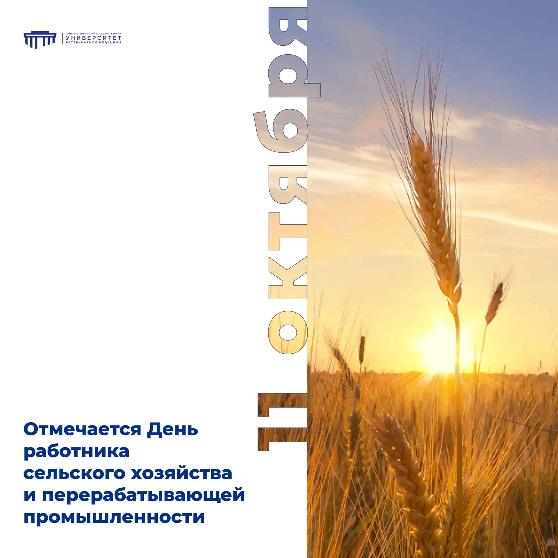 🌾 С Днём работников сельского хозяйства и перерабатывающей промышленности!