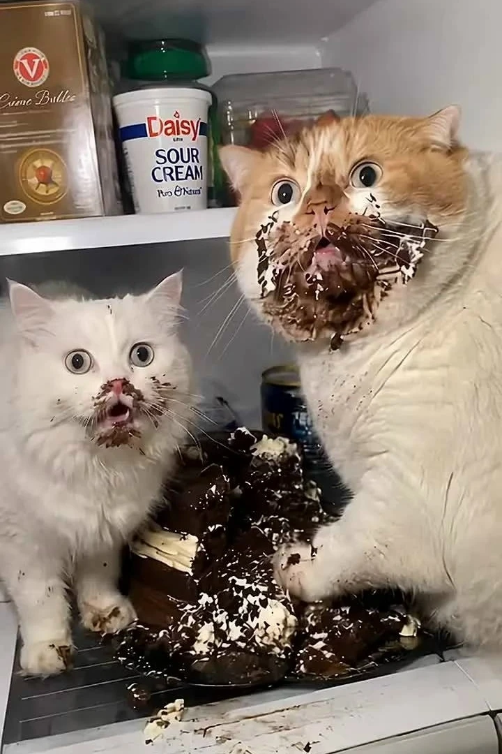 🍫 День шоколадных сюрпризов — пора радовать коллег сладким!