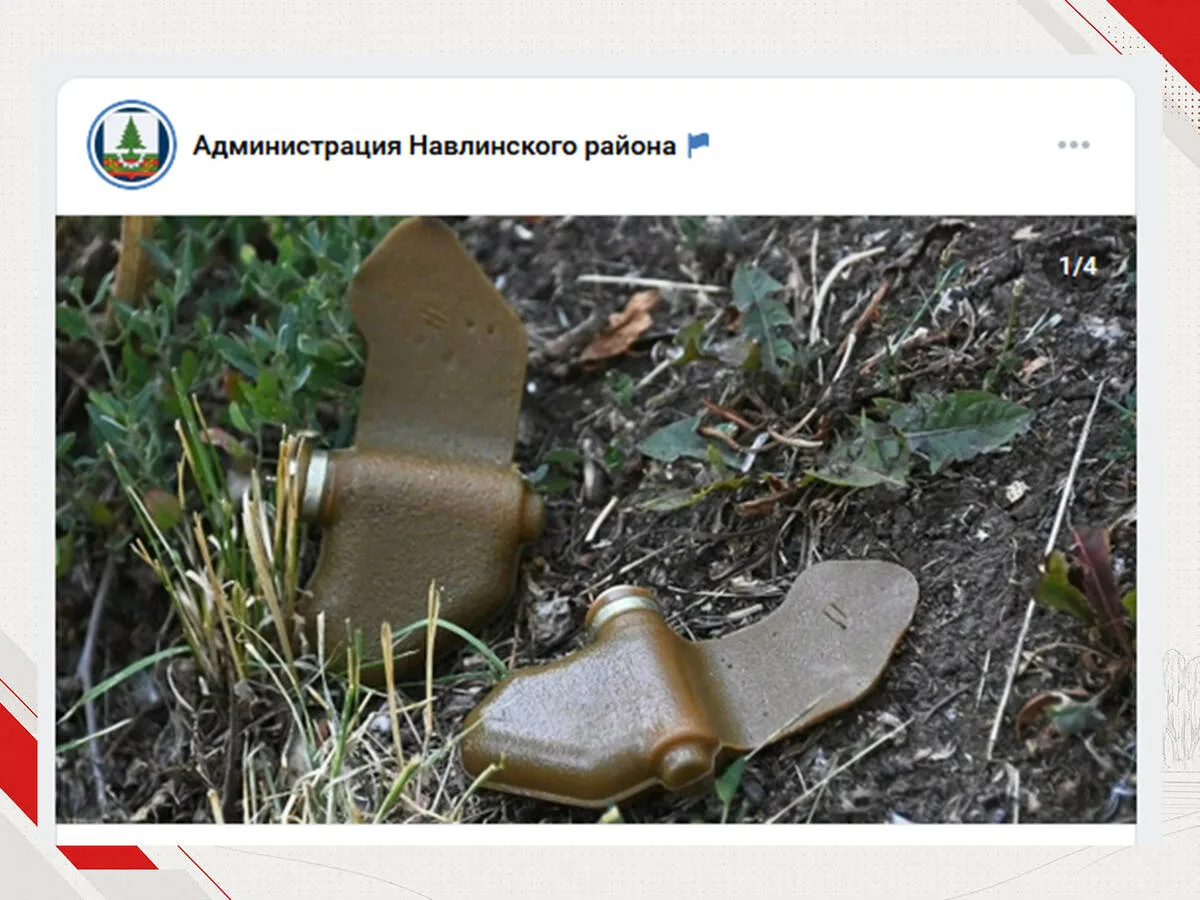 В Навле после сброса взрывных устройств оцепили опасные участки