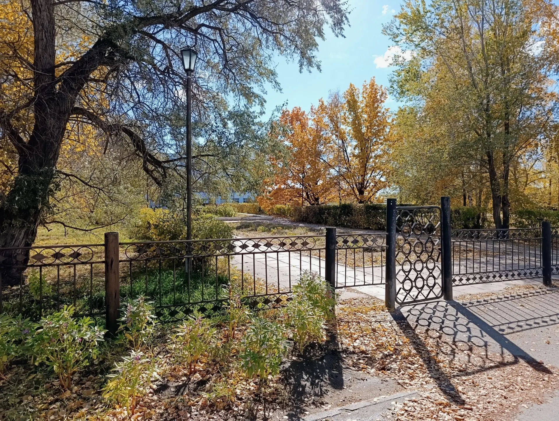 калитка администрации 🍂