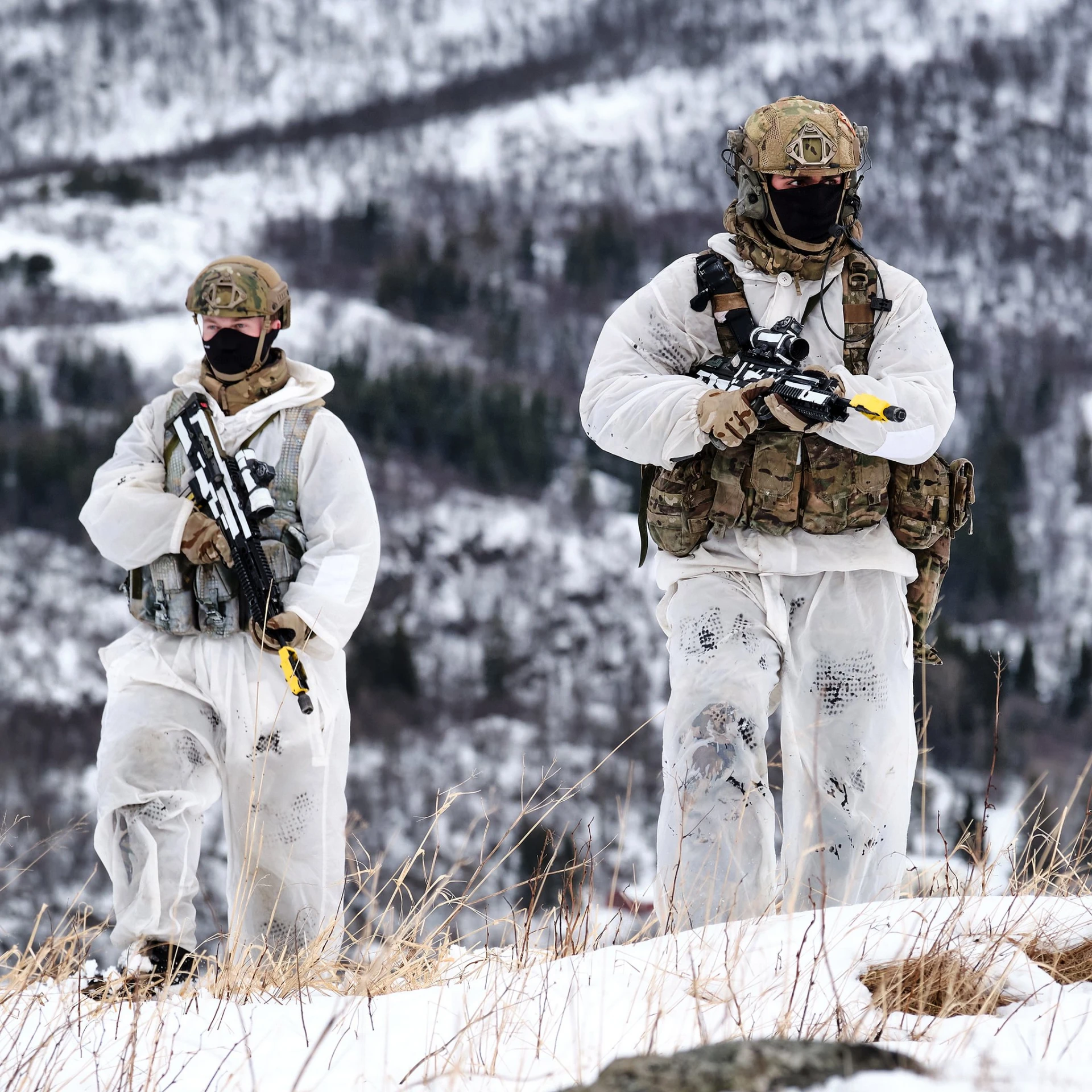 45 Commando Royal Marines — батальонное подразделение специального назначения Королевск...