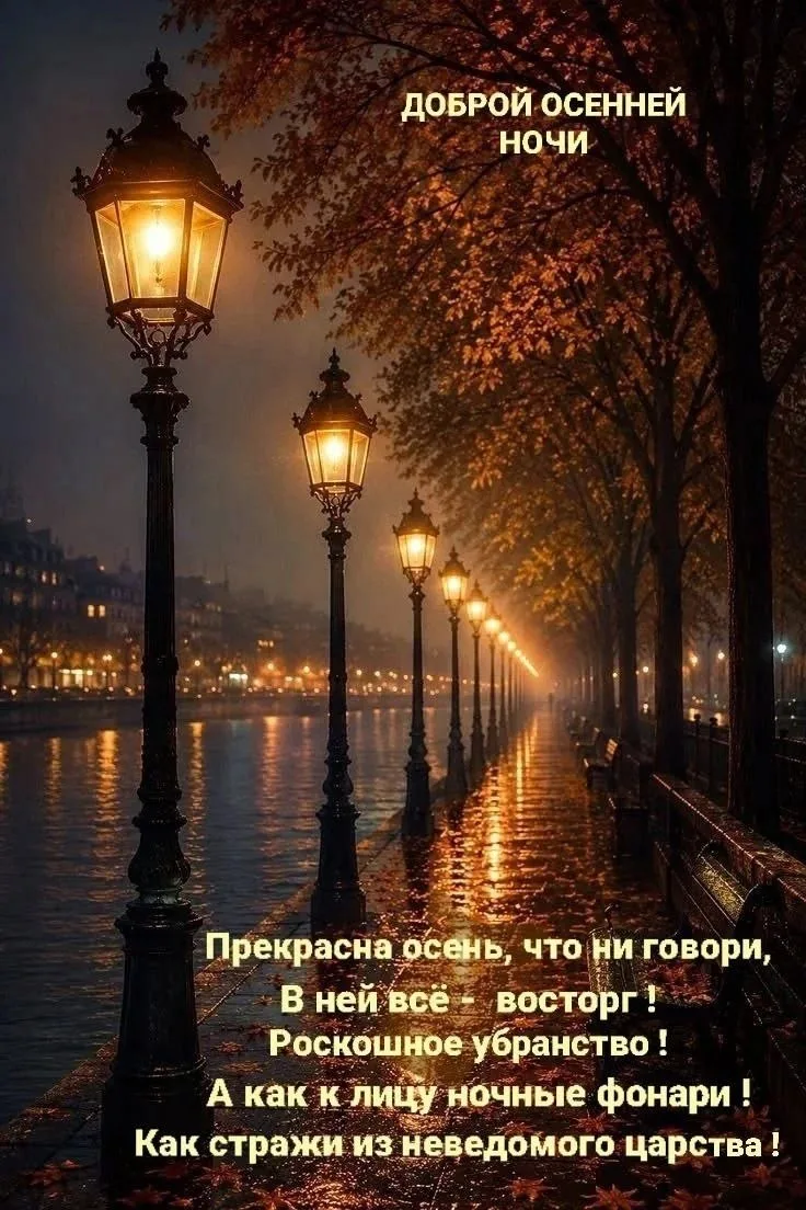 Отличного пятничного вечера и доброй ночи 🌝