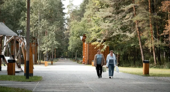 Подмосковье: в Люберцах заканчивают обновлять парк «Лесная опушка»