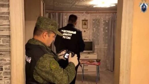 Под Курском задержали мужчину, ударившего ножом сожительницу и 6-летнюю дочь