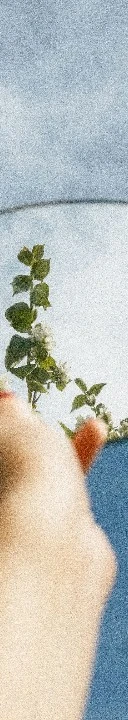 Как часто отношения напоминают танец, в котором шаги и ритмы зависят от двух партнеров....