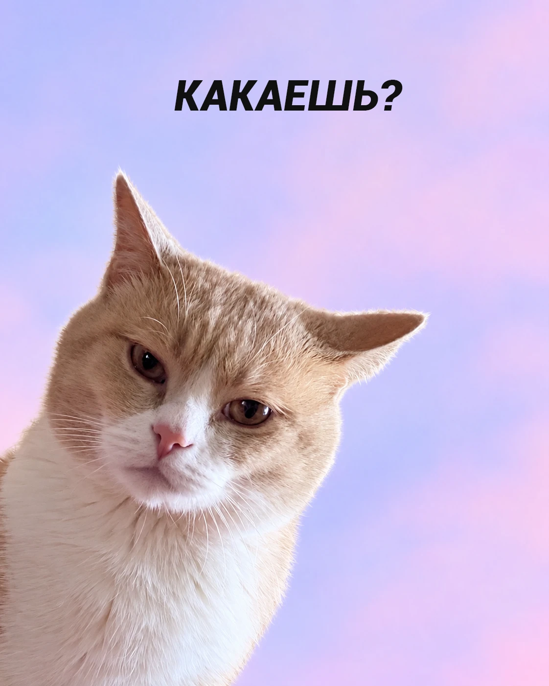 Не благодари!