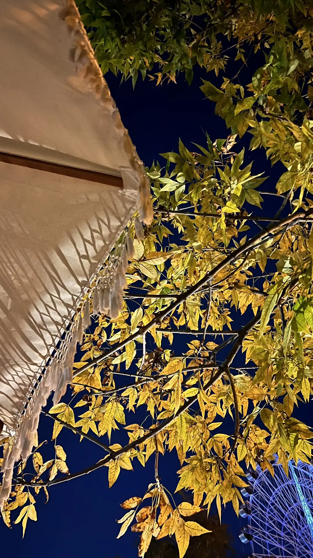 Доброе утро! 🍂