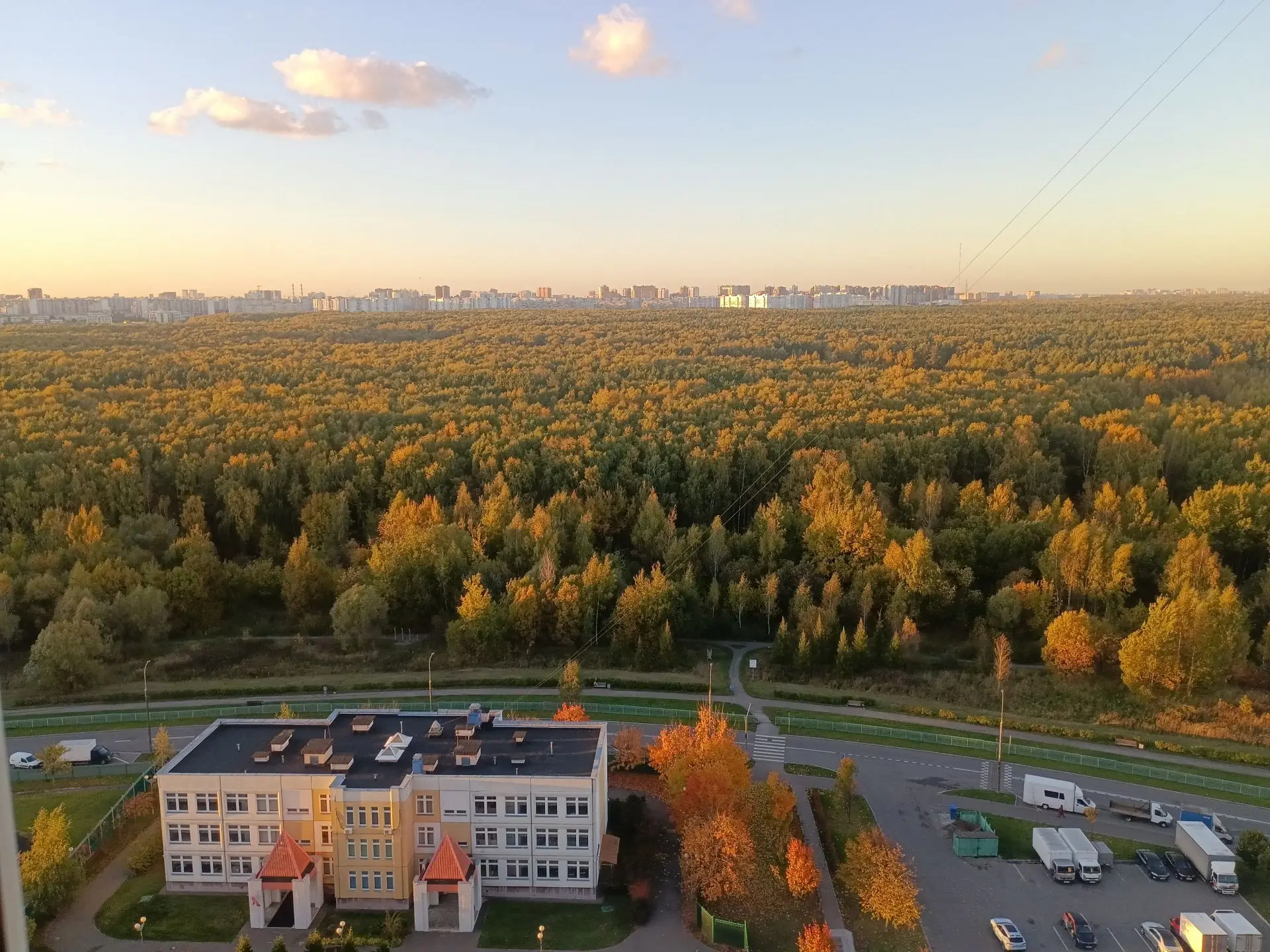 Ясный день над лесом