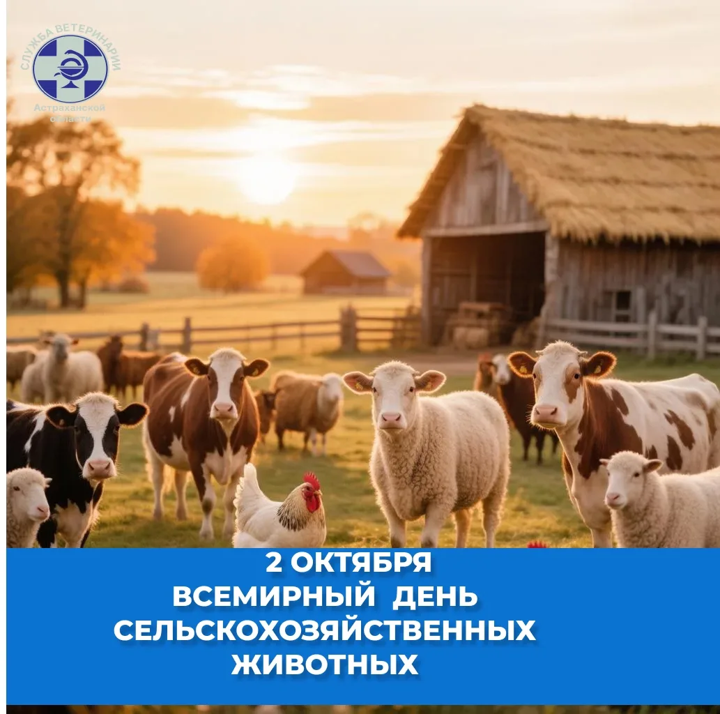 Сегодня мы чествуем тех, кто обеспечивает нас продуктами питания, - коров, овец, коз, с...