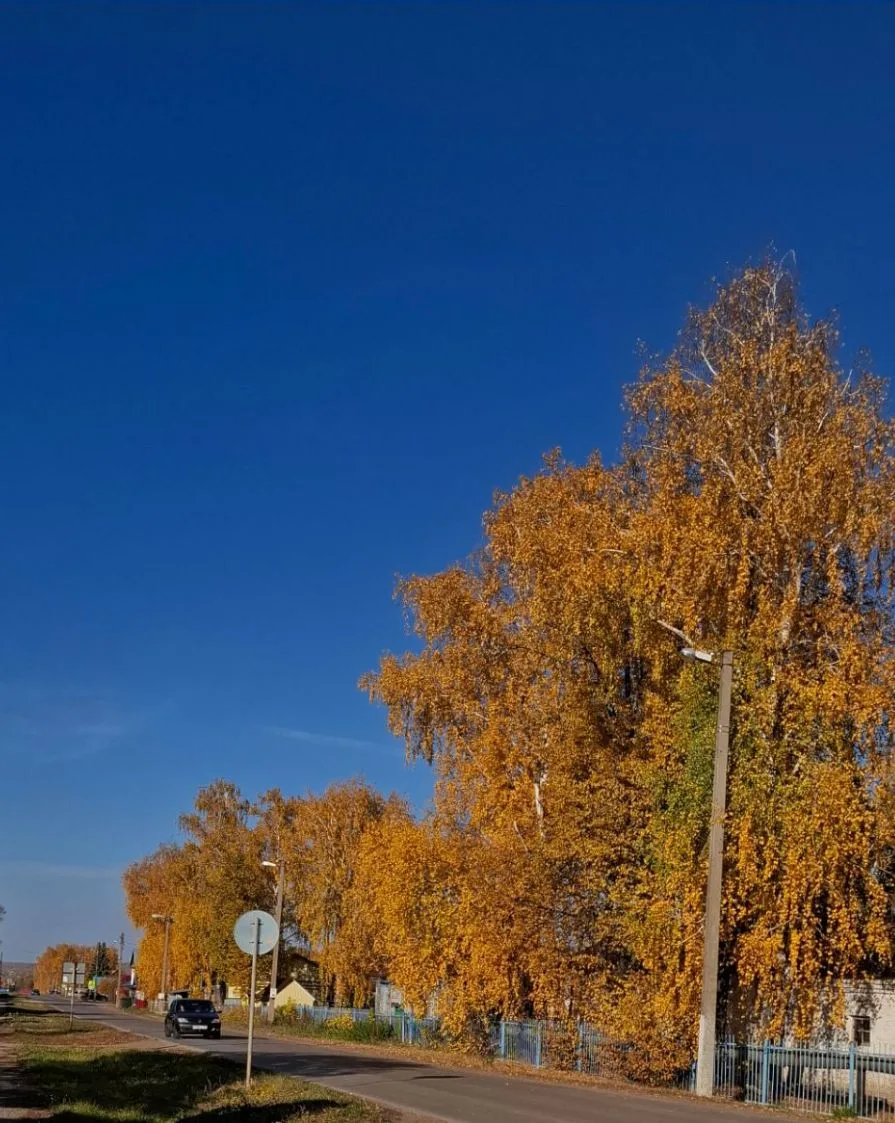 Блин, как же всё-таки красиво осенью✨💛 Я не смогла пройти мимо и не на фоткать😎 Эти д...