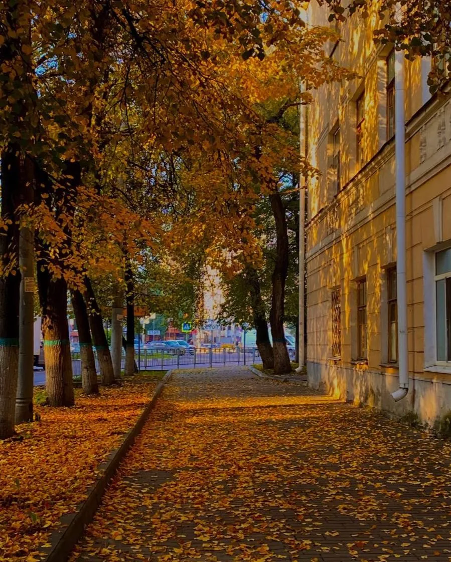 🍂Доброе утро, Воронеж