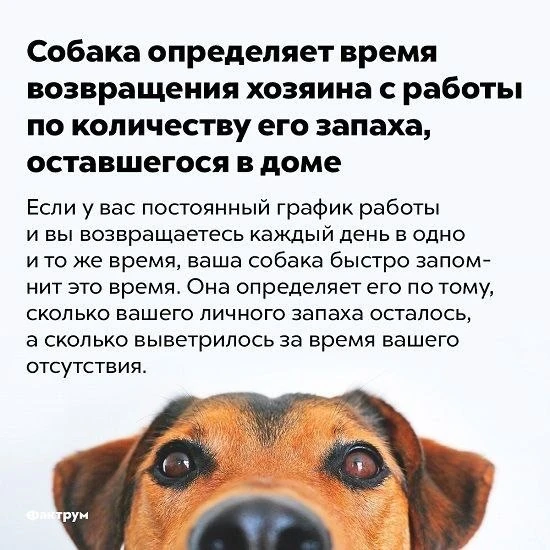 Я даже не предполагала, а вы?