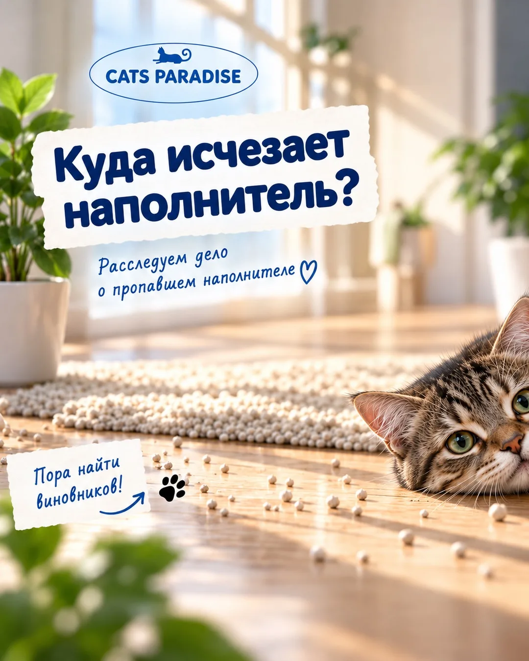 🕵️ Дело о пропавшем наполнителе открыто!