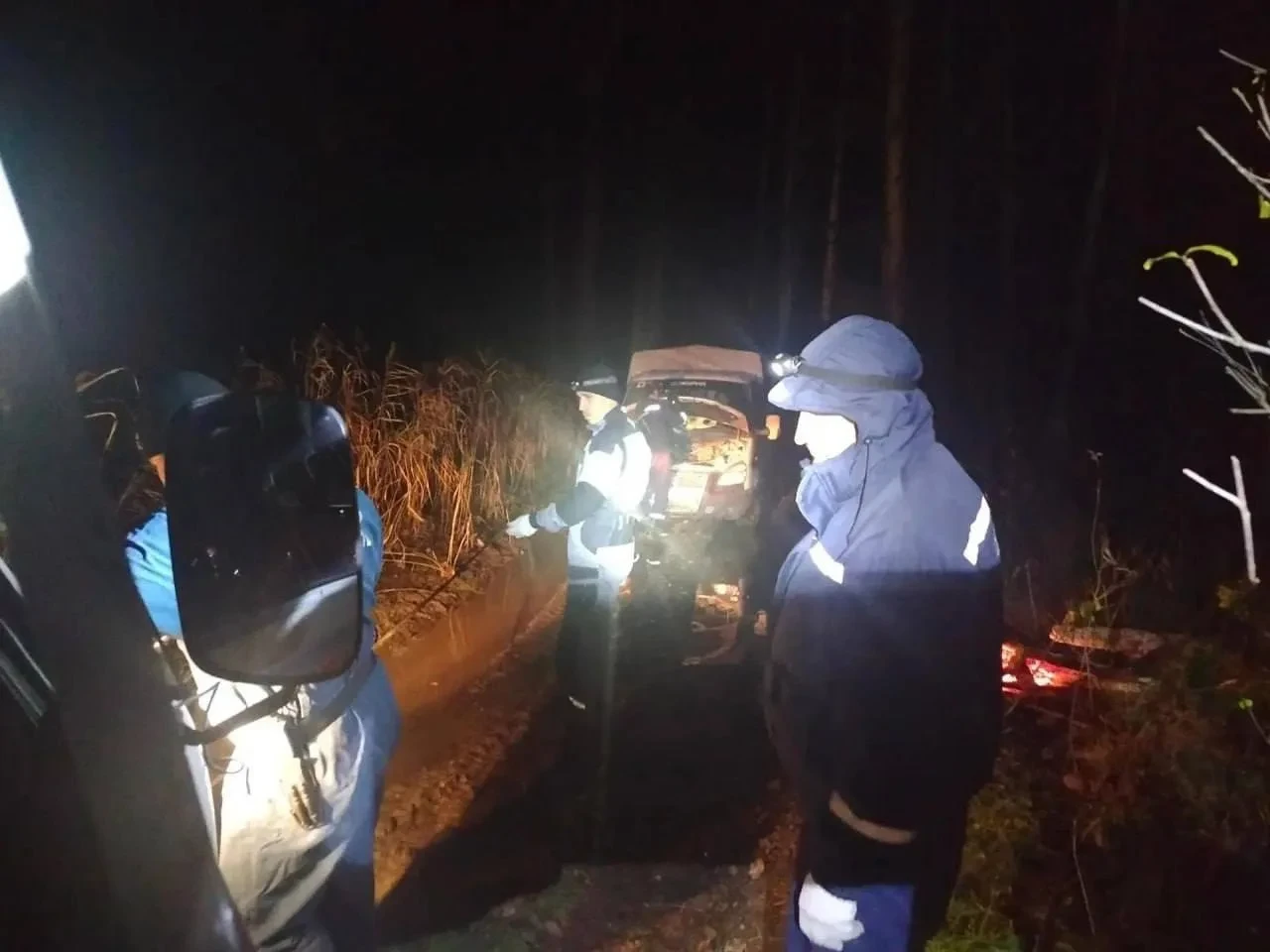 В Тюменском районе ночью спасатели ТОСЭР эвакуировали из леса беременную девушку и её с...
