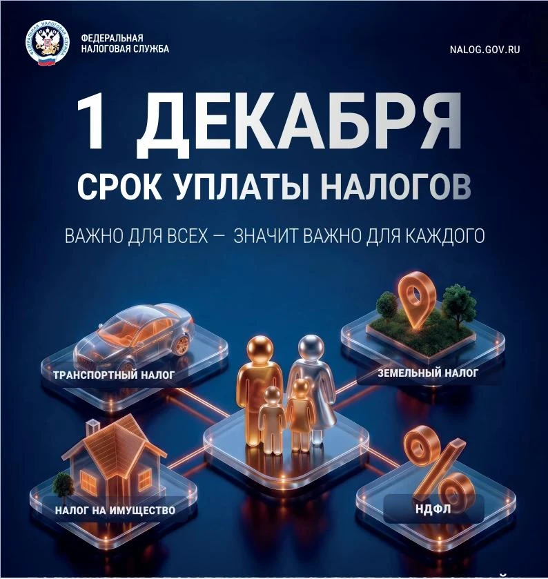 1 декабря 2026 года — крайний срок уплаты налогов!