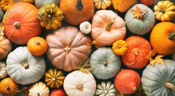 🎃 Kürbis — слово, которое часто встречается осенью!