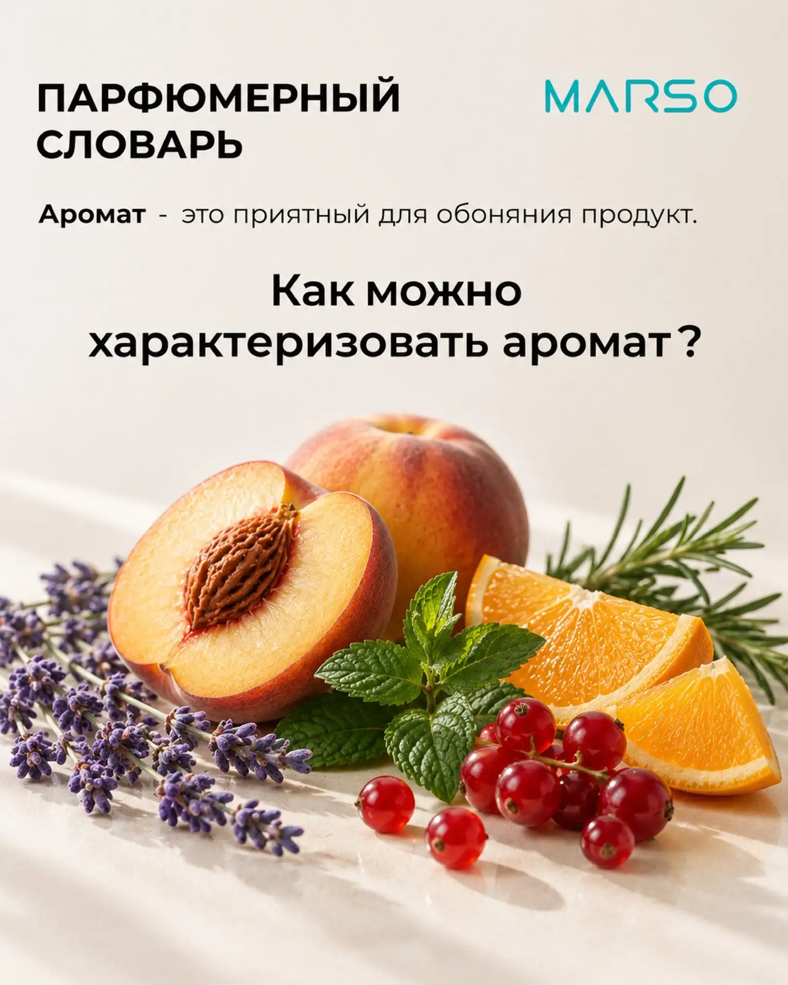 Ловите новые определения для аромата нашего парфюмерного словаря 📔✍️