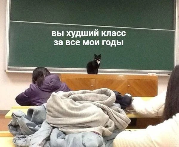 Мемы каждый день • Подписаться