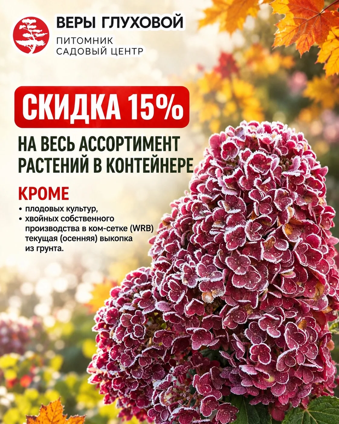 🍁 СЕЗОННЫЕ СКИДКИ В ПИТОМНИКЕ и САДОВОМ ЦЕНТРЕ ВЕРЫ ГЛУХОВОЙ! 🍁